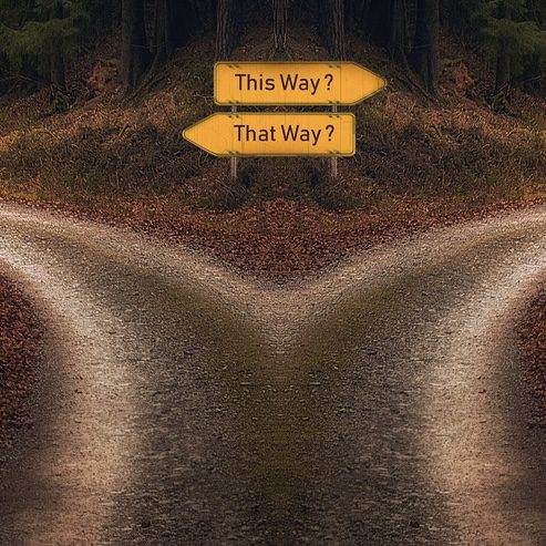 Forked path with directional signs in forest.